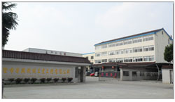 優(yōu)質(zhì)有機(jī)錫T-9催化劑適用于聚氨酯軟泡生產(chǎn)能有效控制凝膠反應(yīng)速度提高品質(zhì)